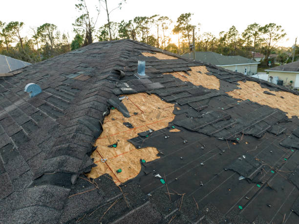 Professional Roofing Service in Brent, FL