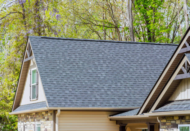 Best Asphalt Shingle Roofing  in Brent, FL